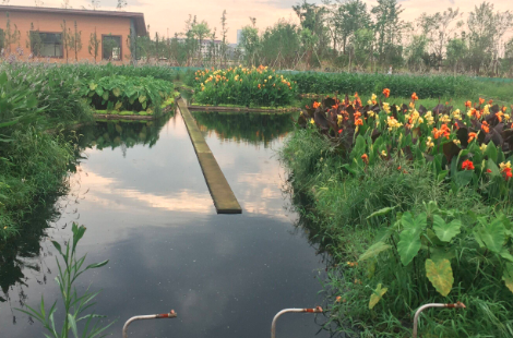 自調節循環凈化平臺