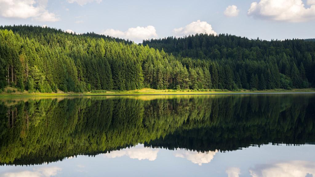 常用水生生態環境質量改善工程探析