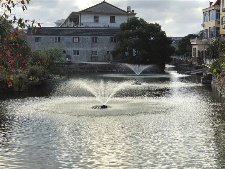 “河水清澈了，環境也變好了” 院橋開展河道生態修復顯成效
