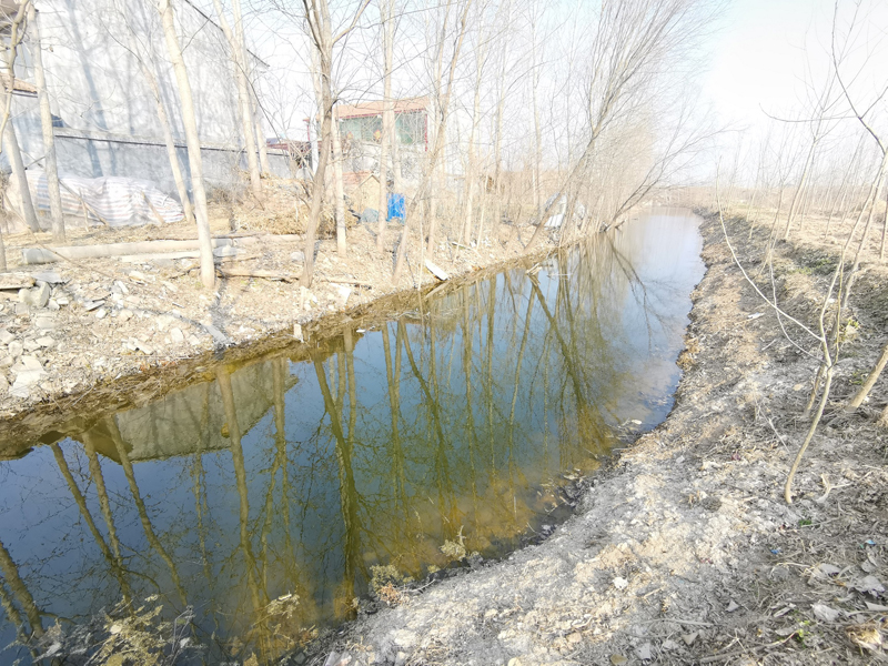 豐縣歡口鎮張廟中溝水生態修復工程