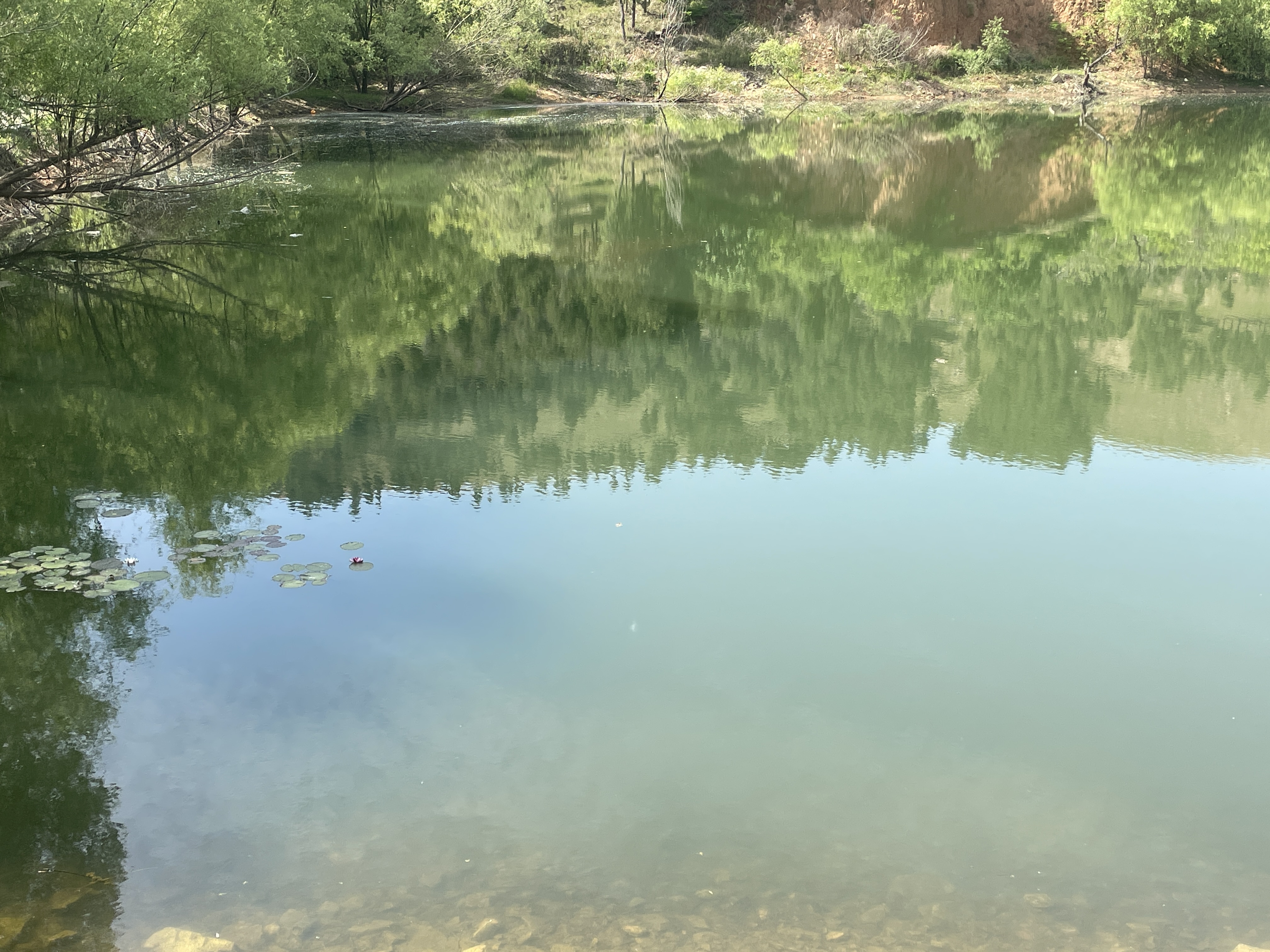 龍城鎮(zhèn)李山水庫帽山水庫