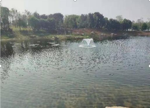 喜訊！江蘇正澤生態環境科技有限公司中標蕭縣官橋鎮農村黑臭水體綜合整治(生態治理）采購項目、蕭縣趙莊鎮農村黑臭水體綜合整治采購項目