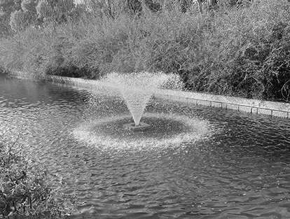 徐州市政府護城河