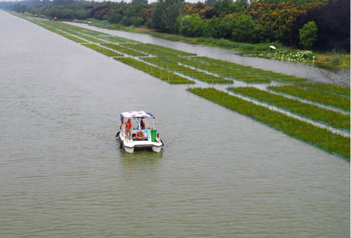 徐州市委書記宋樂偉：樹牢底線思維 強化責任擔當 全力以赴守護河湖安瀾群眾安全