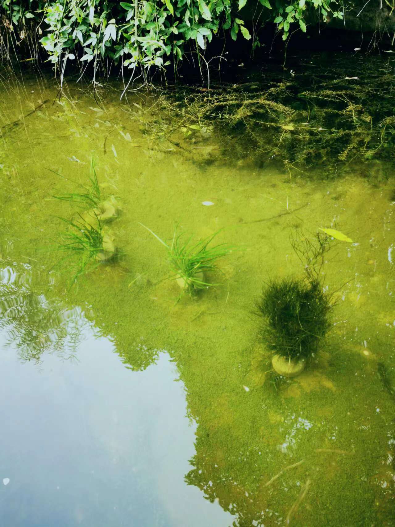 企業(yè)產(chǎn)品介紹