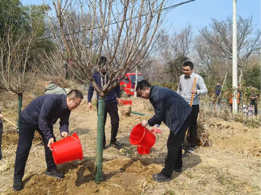 “黨建紅”引領方向 “生態綠”鋪就未來——生態環境、自然資源和林業三方共同開展植樹節暨主題黨日活動