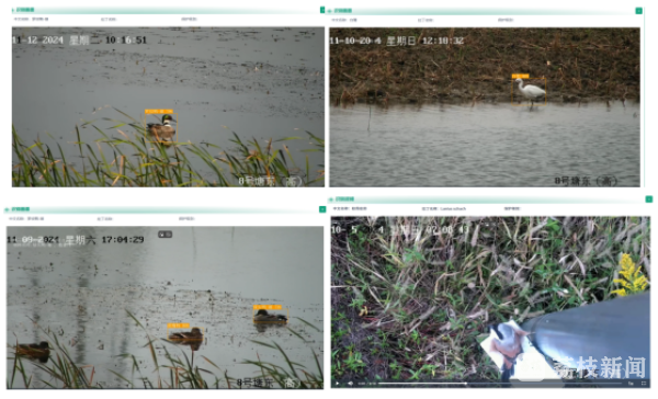 江蘇首部生物多樣性保護條例出爐！將于今年“國際生物多樣性日”施行