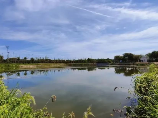 好水養(yǎng)好蟹，好生態(tài)才是“金飯碗”