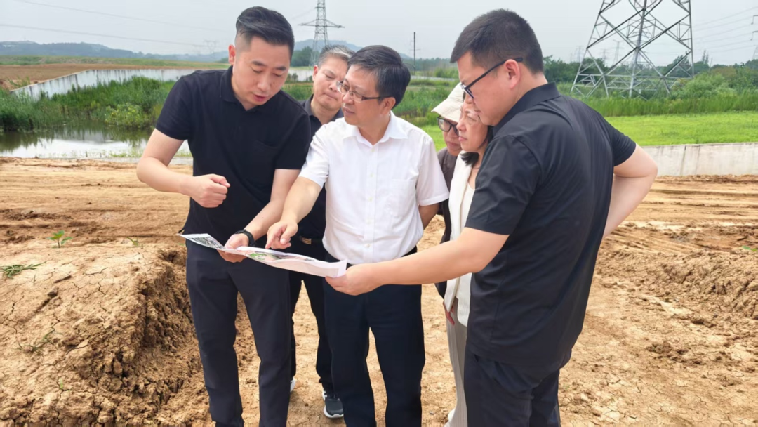 堅持標本兼治系統治理 建設綠色低碳美麗省會 省生態環境廳開展督察整改調研