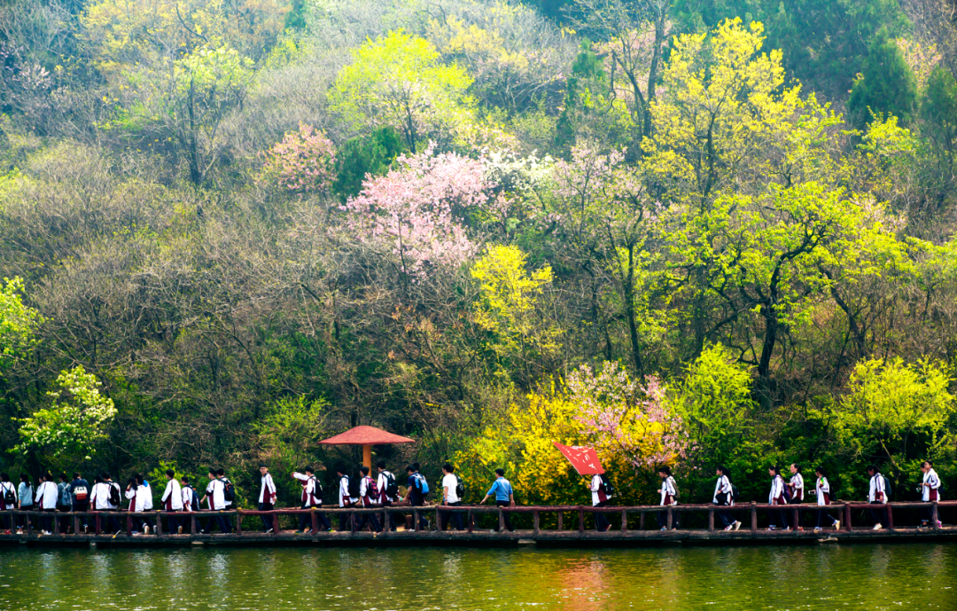 馬陵山“生態島”試驗區，實現生態經濟“雙豐收”